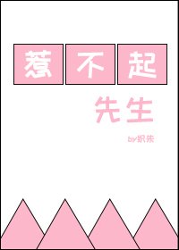 惹不起先生