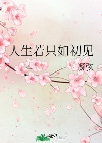 人生若只如初見